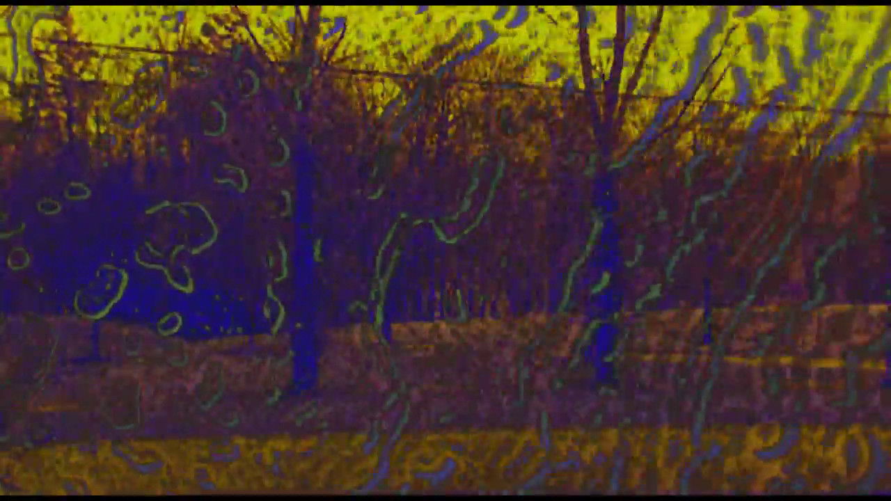 Joose Psychedelia Test backdrop