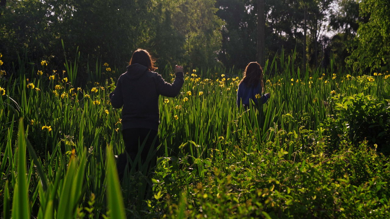 When the waters turn Magenta backdrop