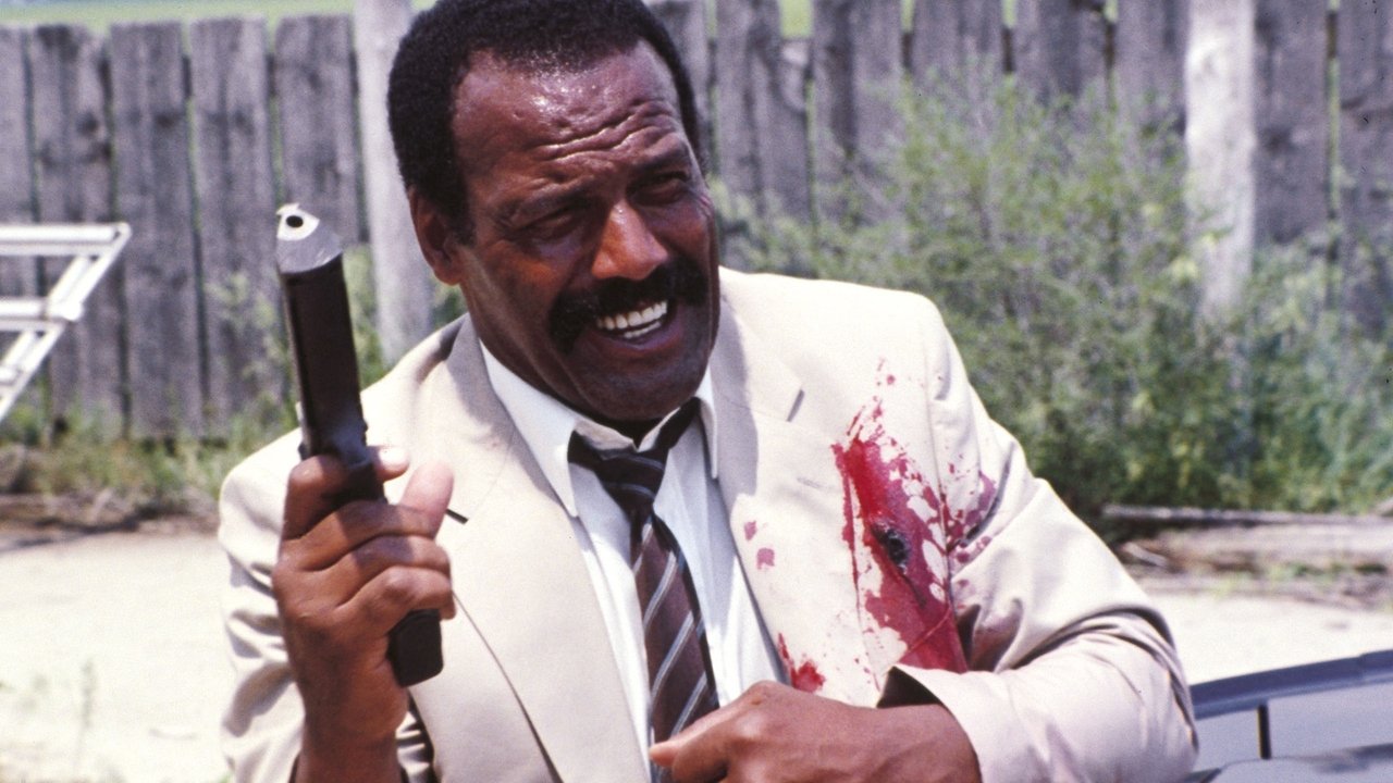 Soda Cracker backdrop