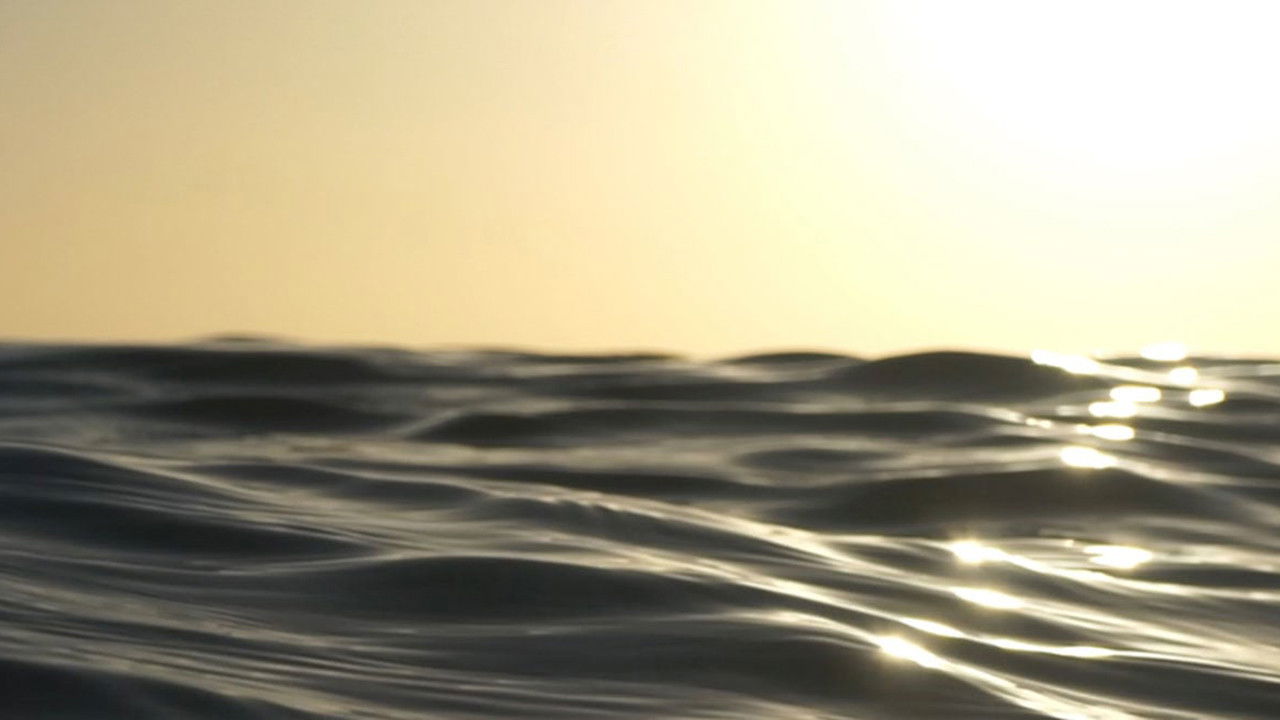 Zone Frequency backdrop