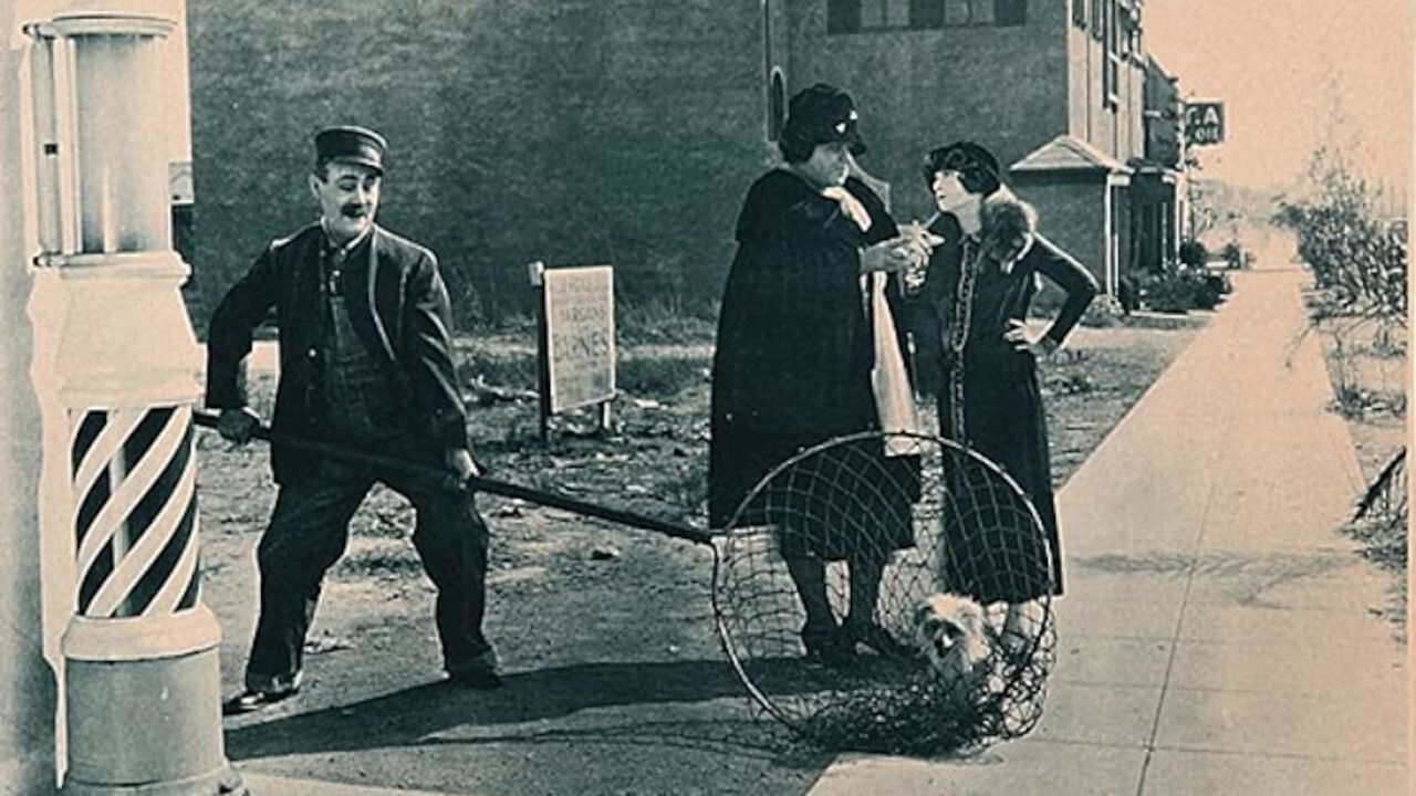 Stay Single backdrop