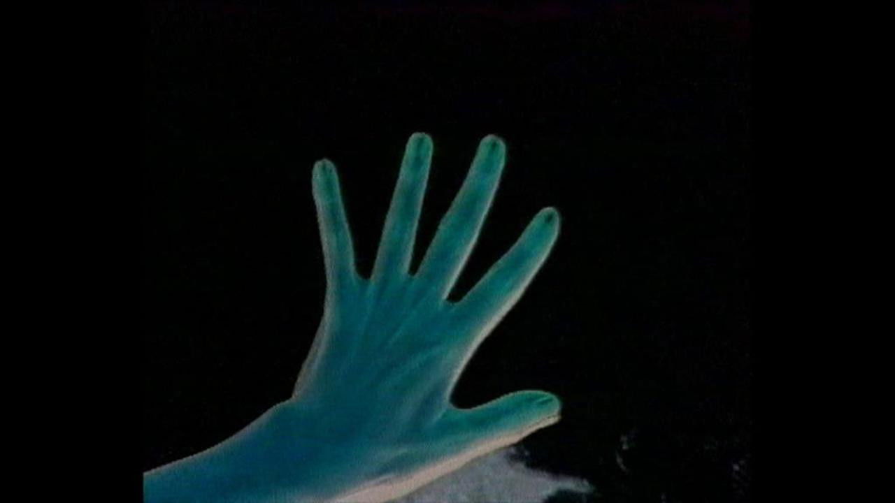 Personal Statement backdrop