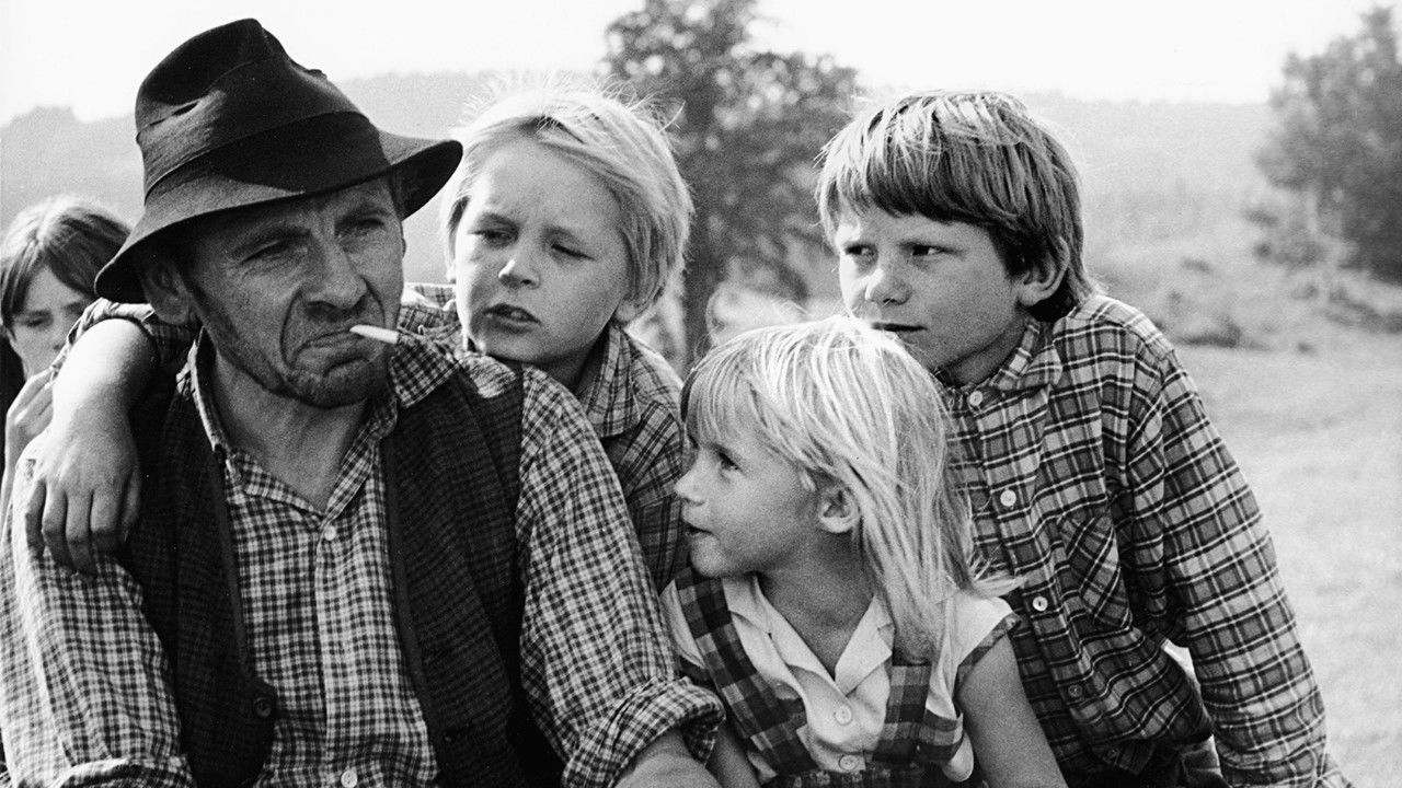 Toni, You're Crazy backdrop