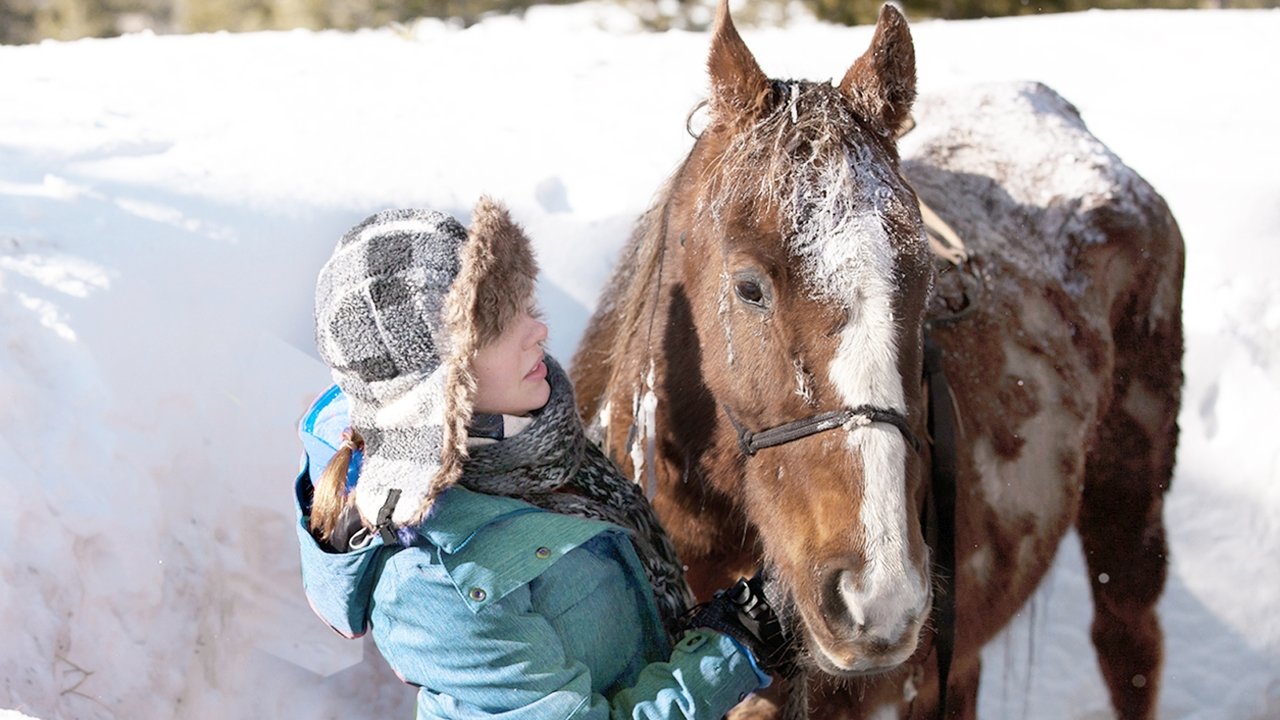The Horses of McBride backdrop