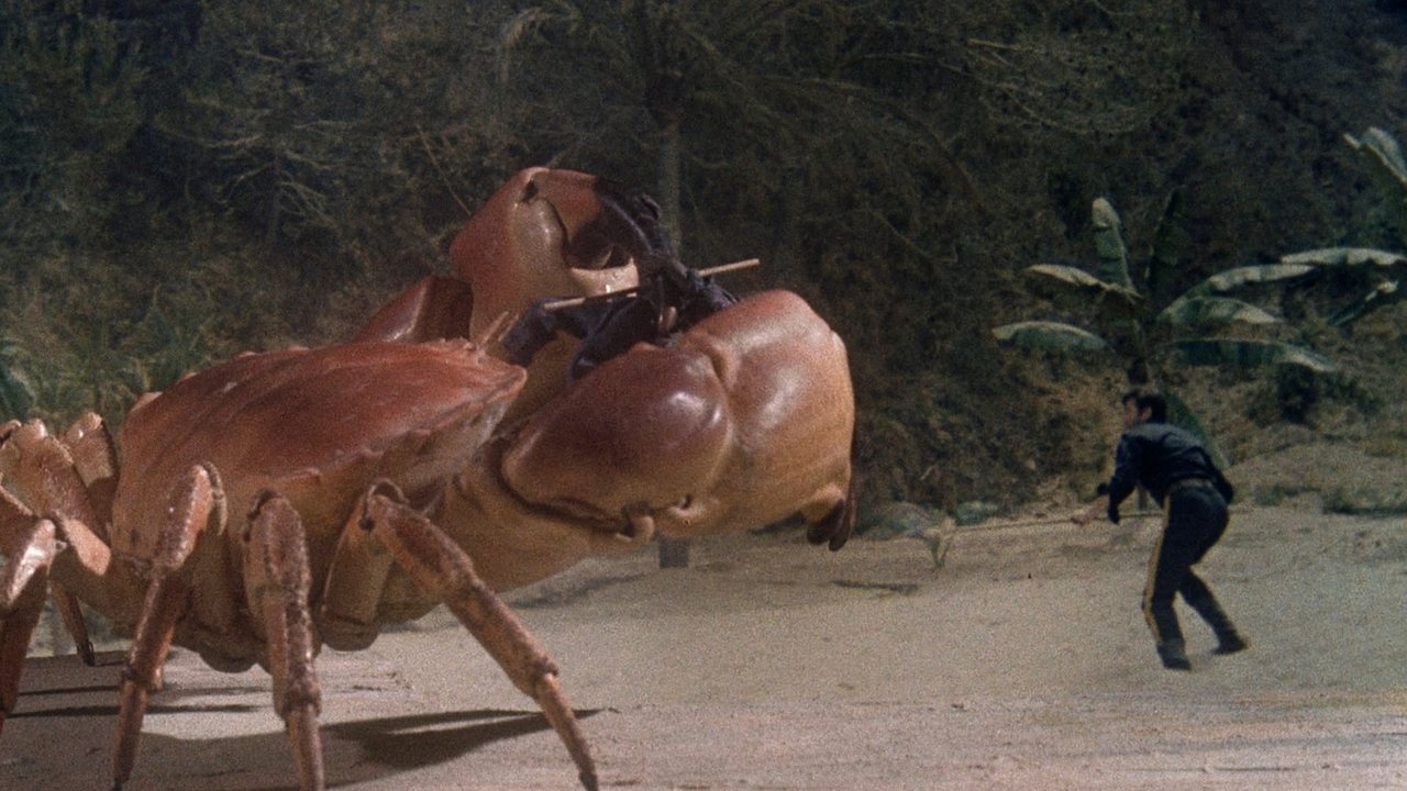 Island Claws backdrop