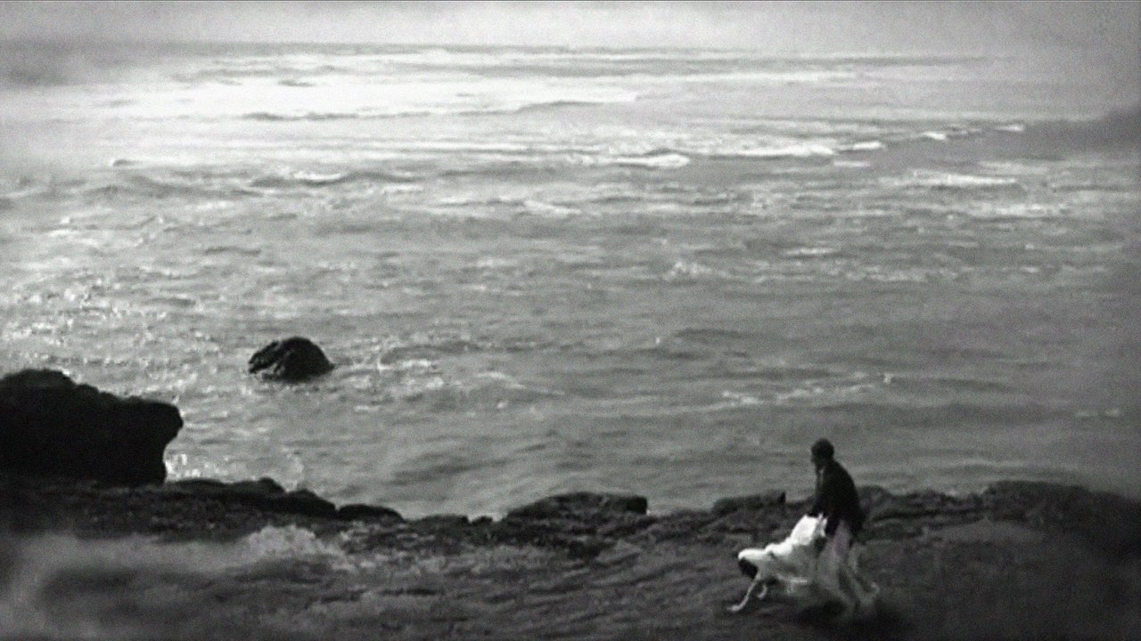 42 One Dream Rush backdrop