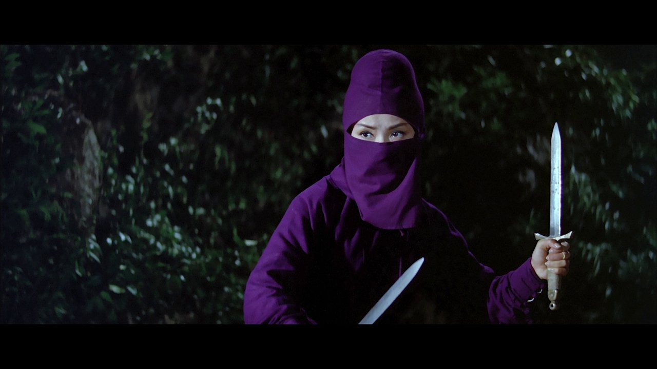 Black Butterfly backdrop