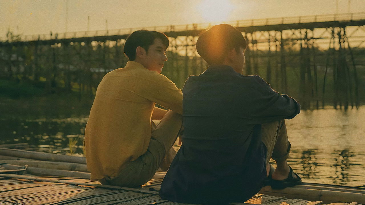 Colorful Melody backdrop