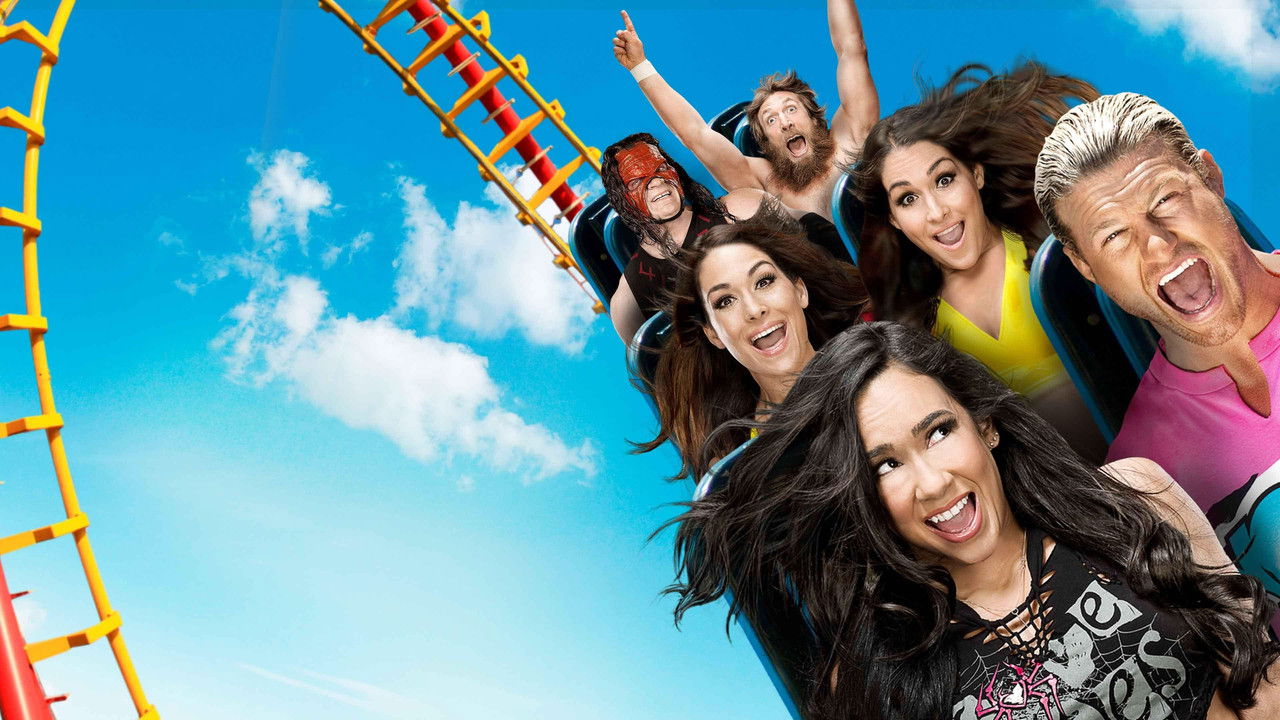 WWE SummerSlam 2013 backdrop