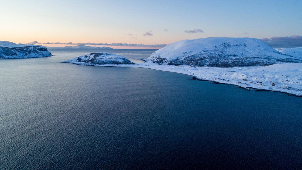 La Quête du sauvage backdrop