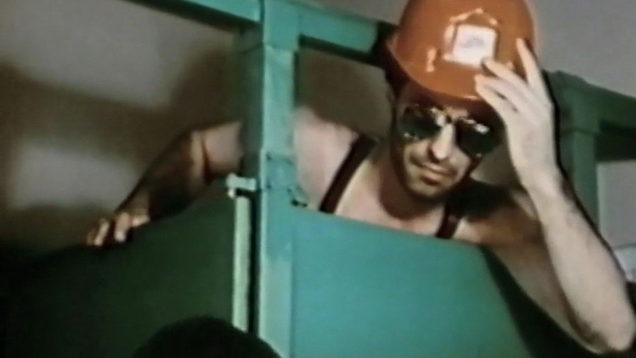 Sex toilets backdrop