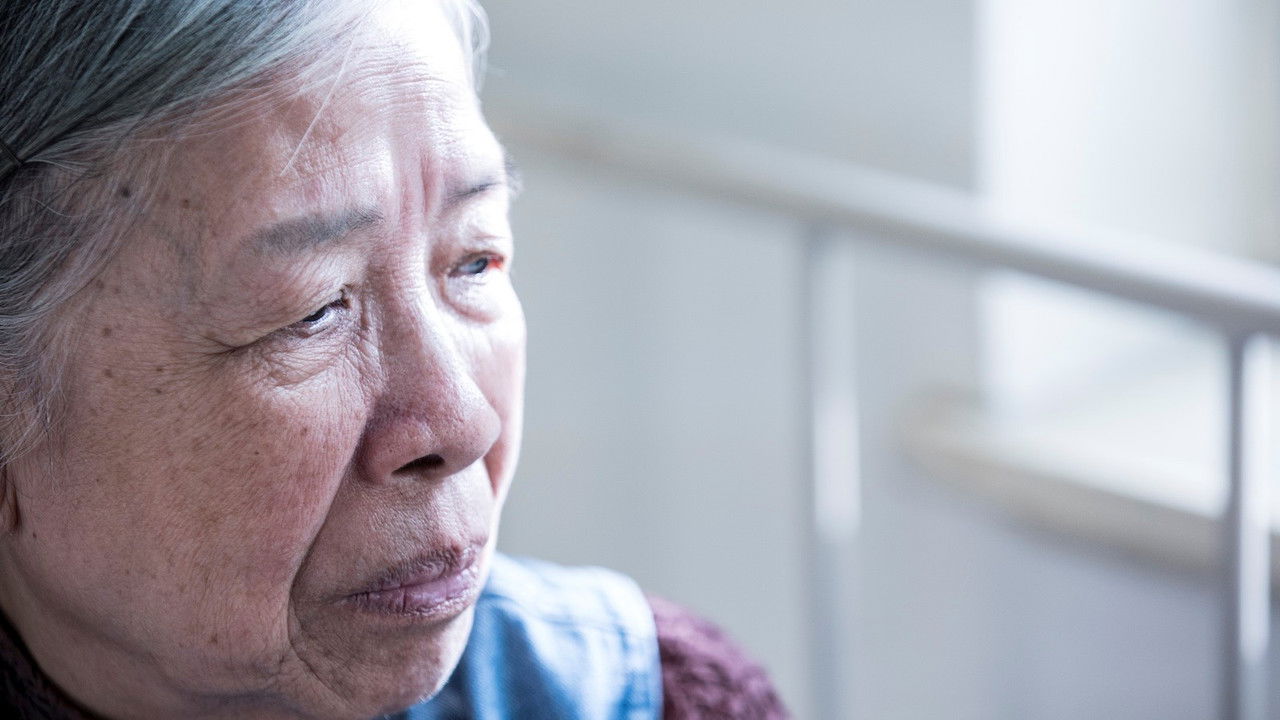 3 Generations 3 Days backdrop