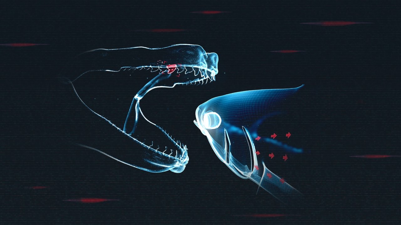 Shark vs. Tuna backdrop