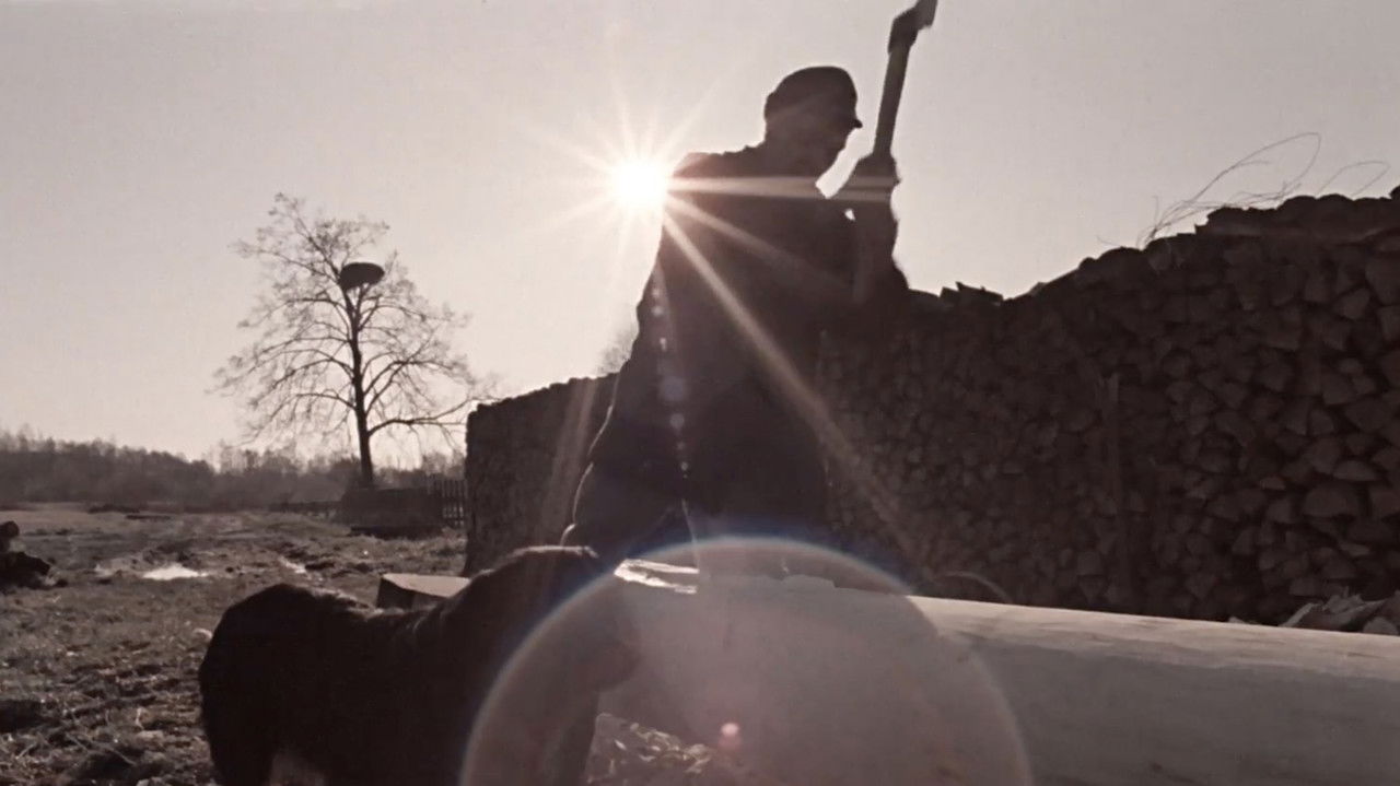 A Dugout Canoe backdrop