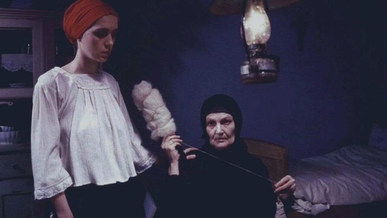 The Life of Stipe Zvonarov backdrop