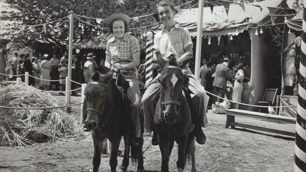 Down on the Farm backdrop