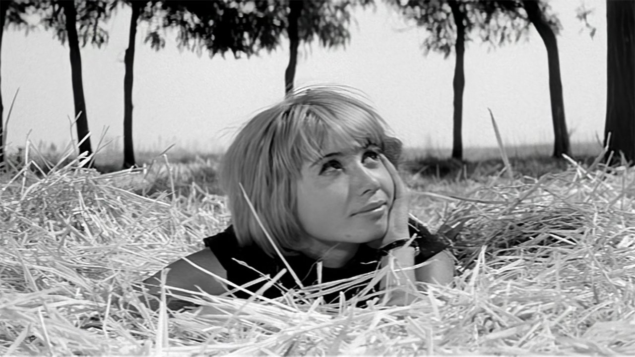 Monday Morning backdrop