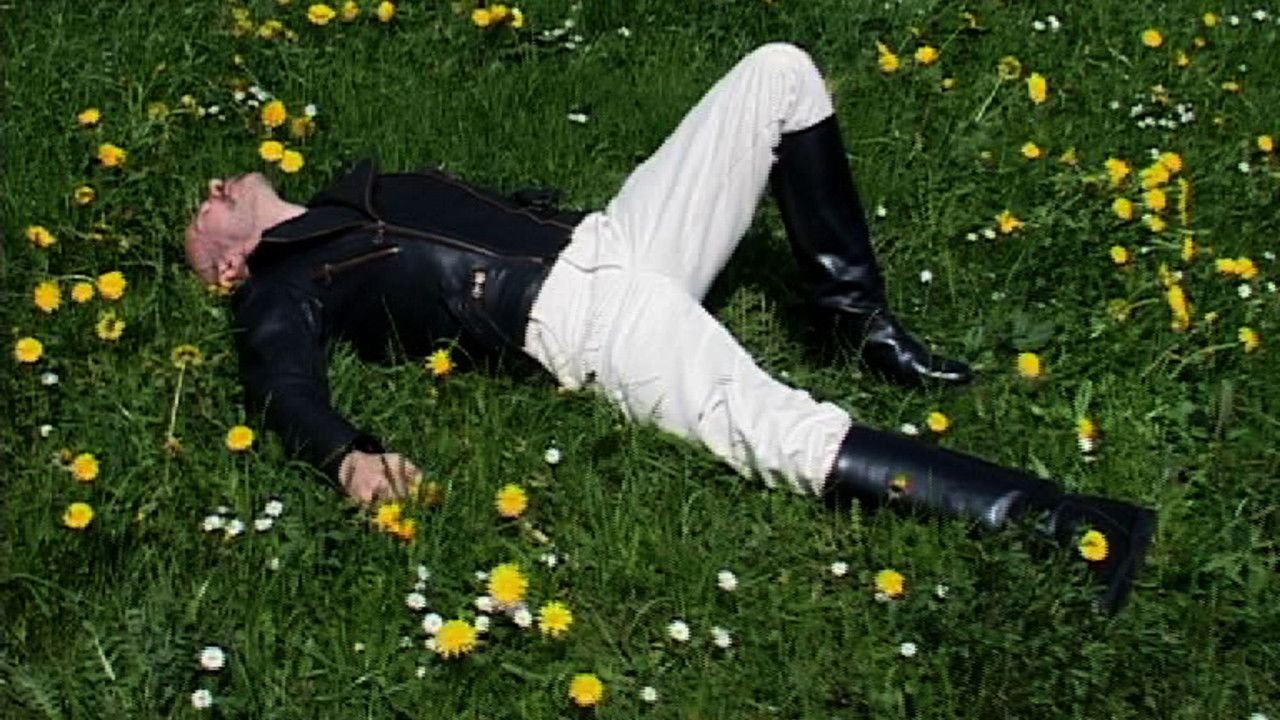 The Life and Death of Celso Junior backdrop