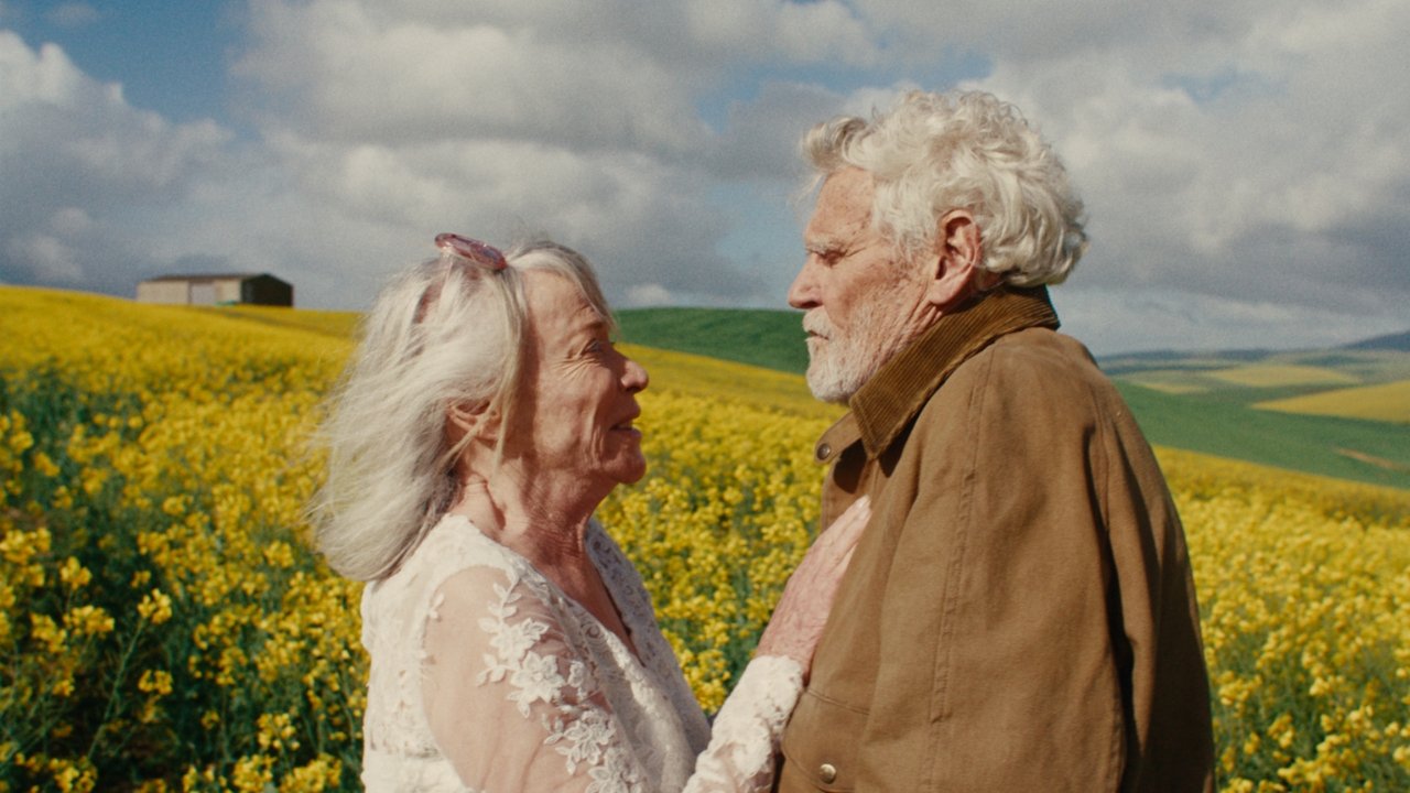 A Kind of Madness backdrop