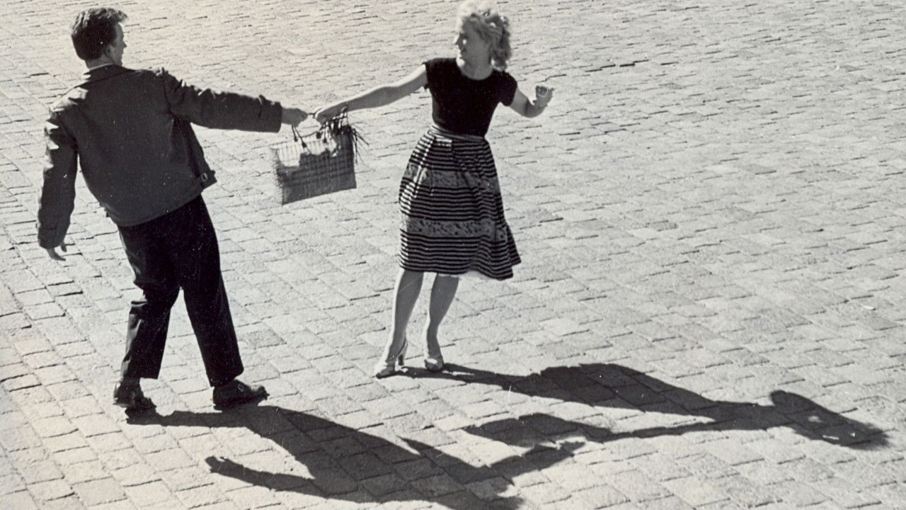 Sword and Rose backdrop