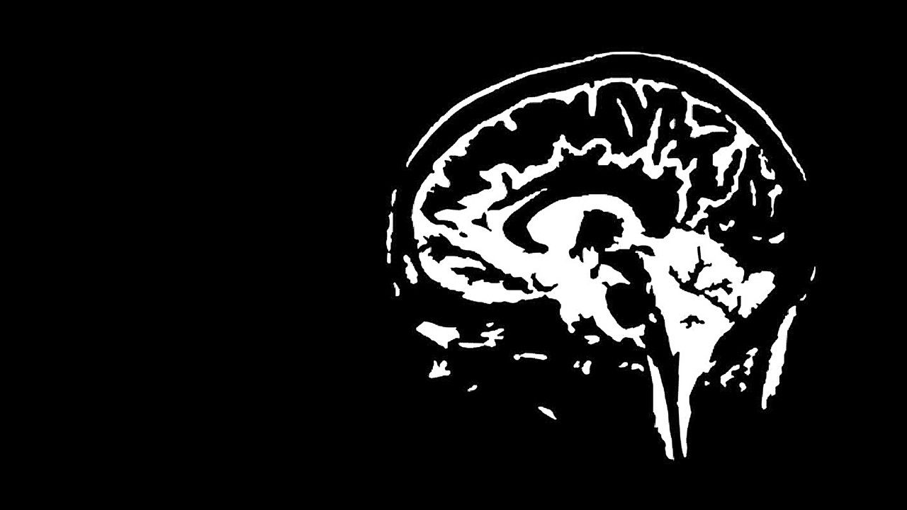 Jan Jaap van der Wal: Onderbewust backdrop