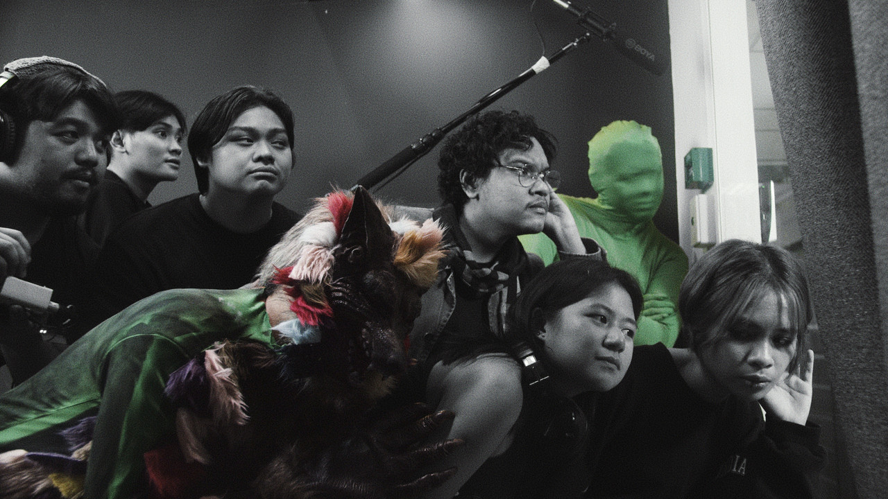 Green Screen backdrop