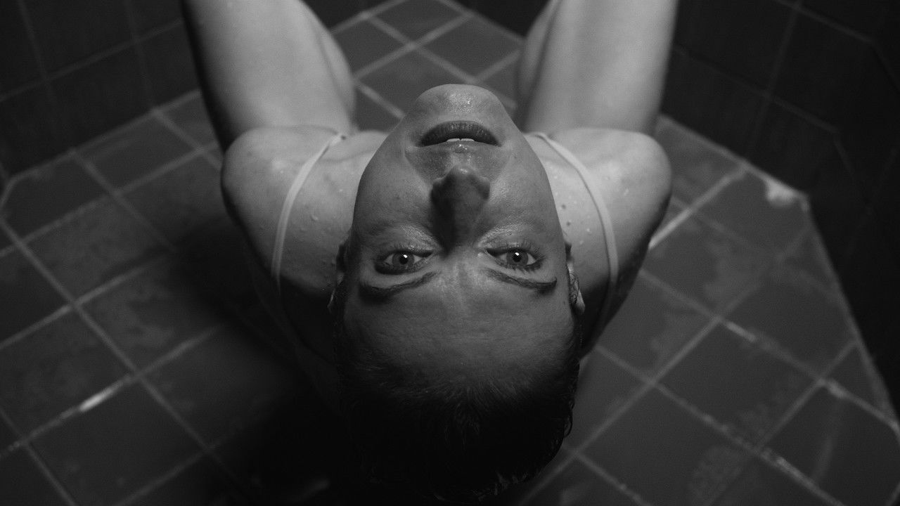 Evidence of it All backdrop