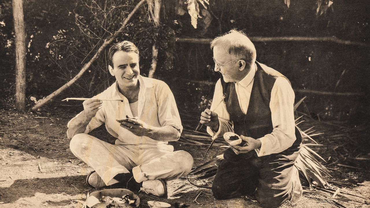 Down to Earth backdrop