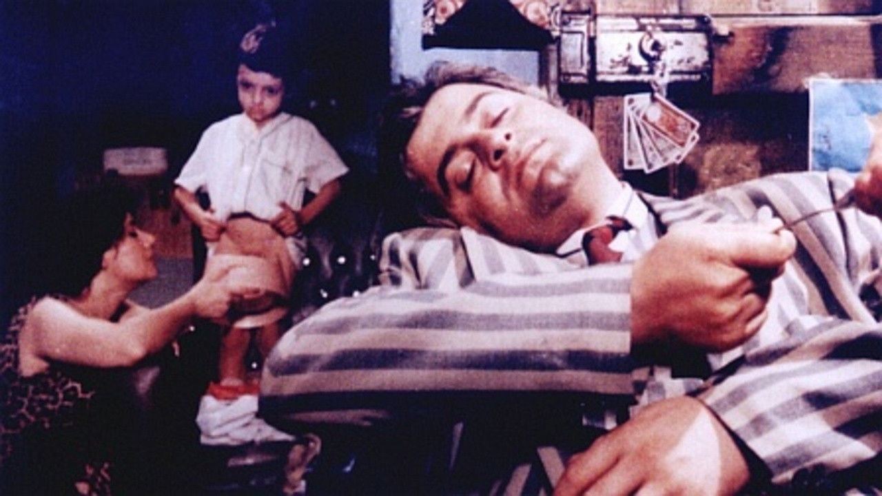 Stars in Broad Daylight backdrop