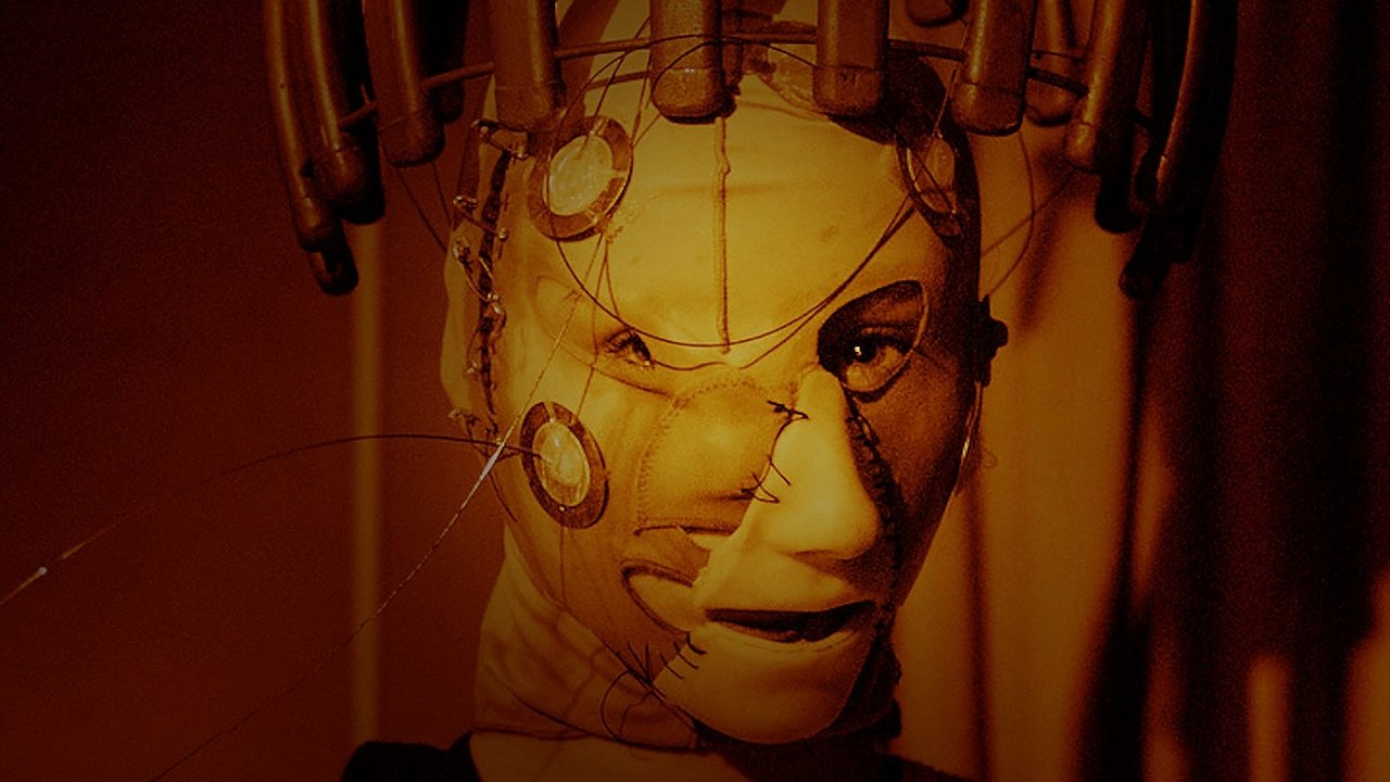 2551.01 - The Kid backdrop