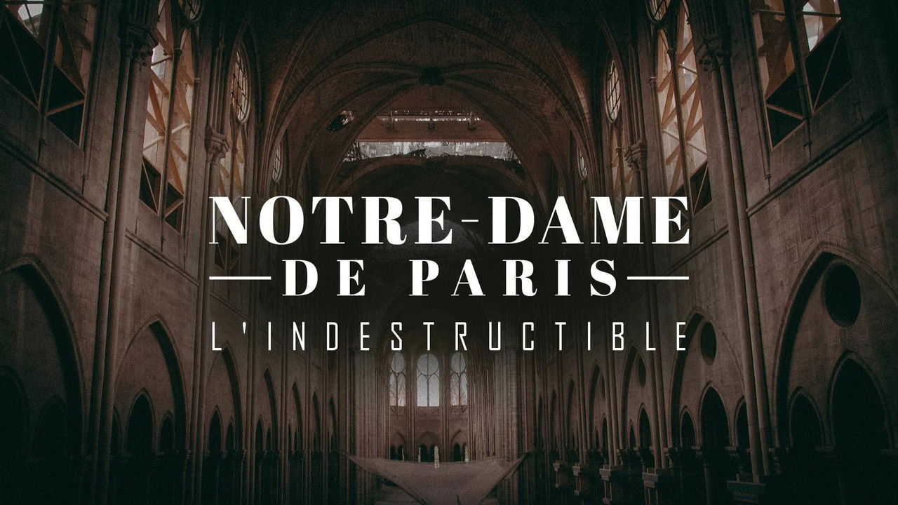 Notre-Dame de Paris, l'indestructible backdrop