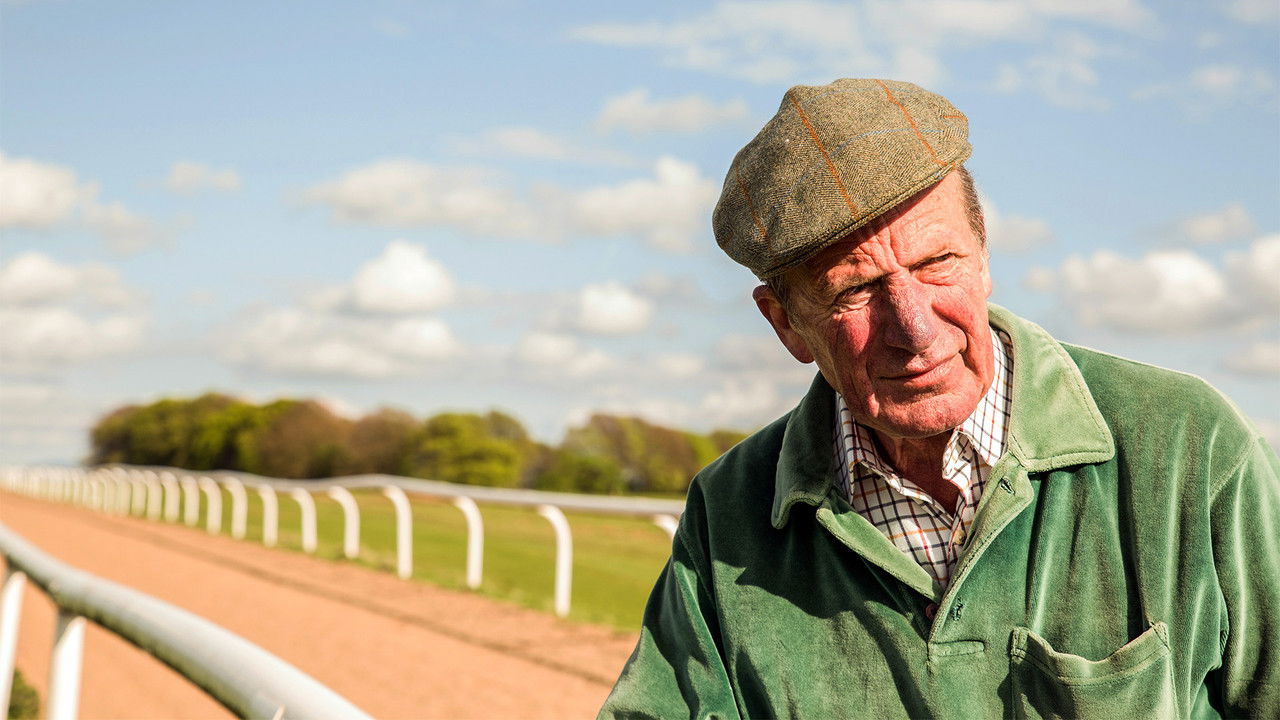 Searching for Shergar backdrop