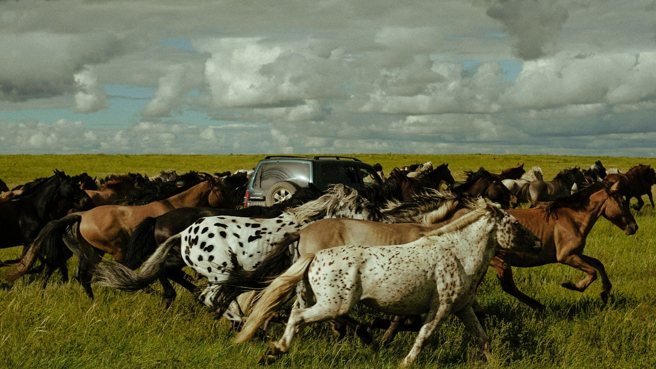 Striding Into the Wind backdrop