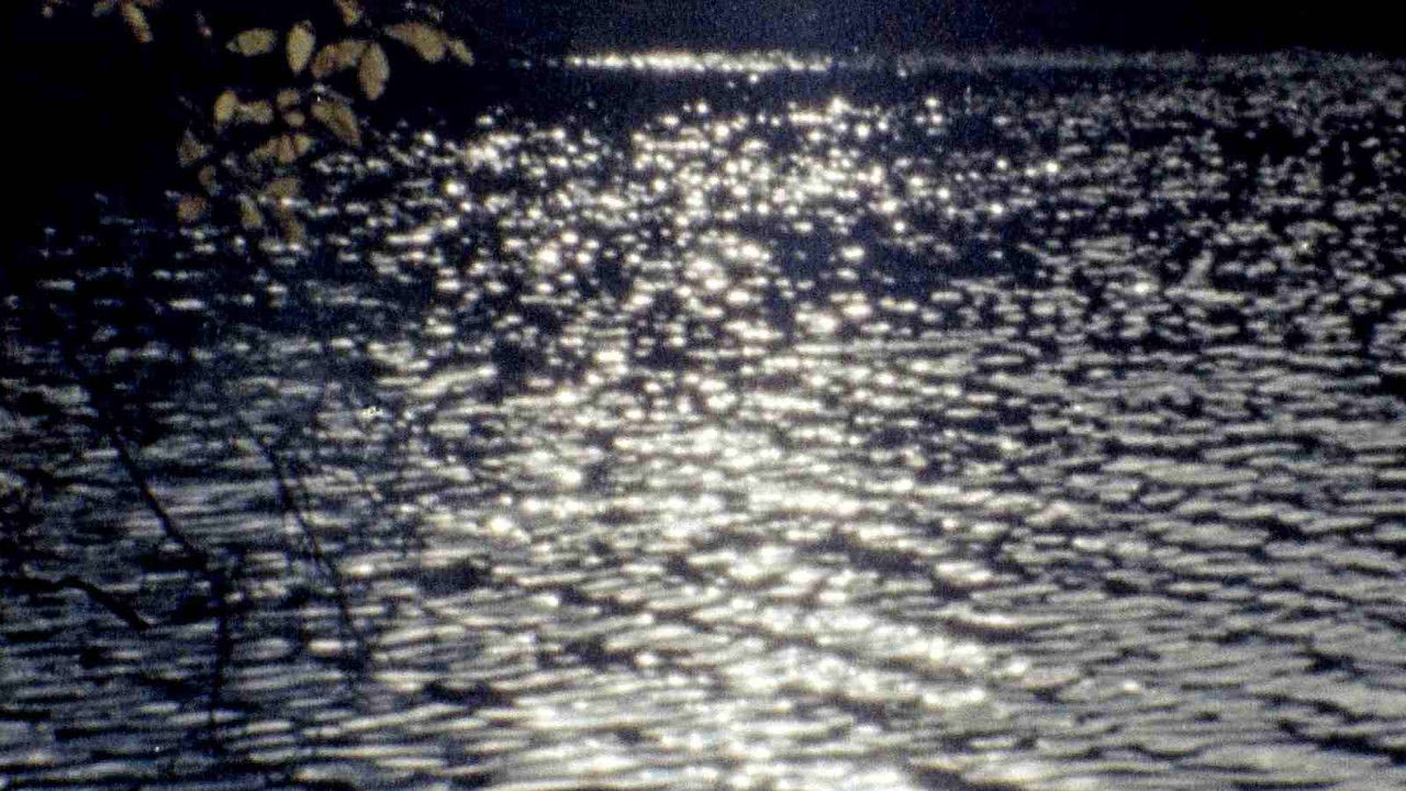 El jardín del lago backdrop