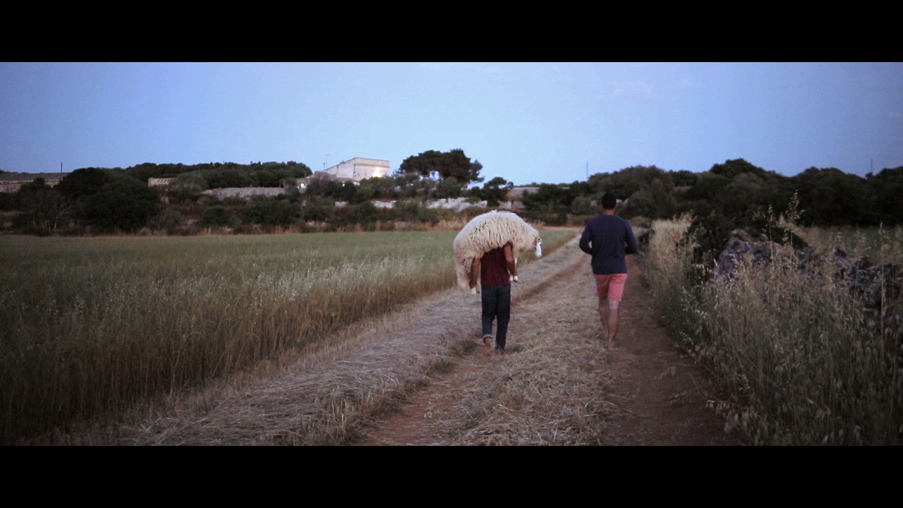 Native Rock backdrop