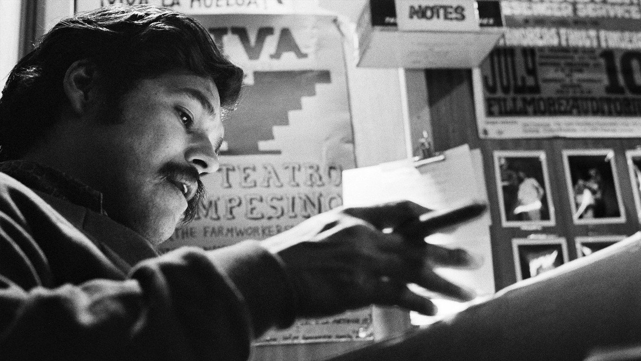 American Pachuco: The Legend of Luis Valdez backdrop
