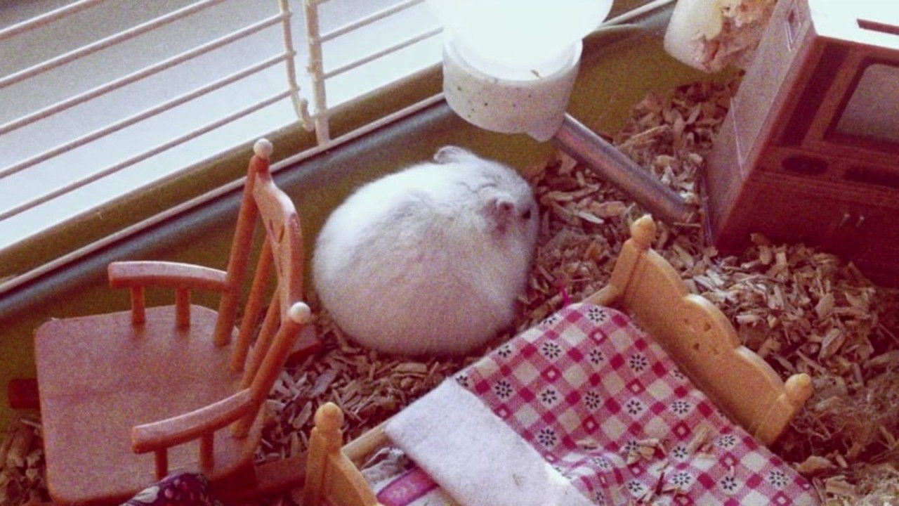 Nymphomaniac: Vol. I backdrop