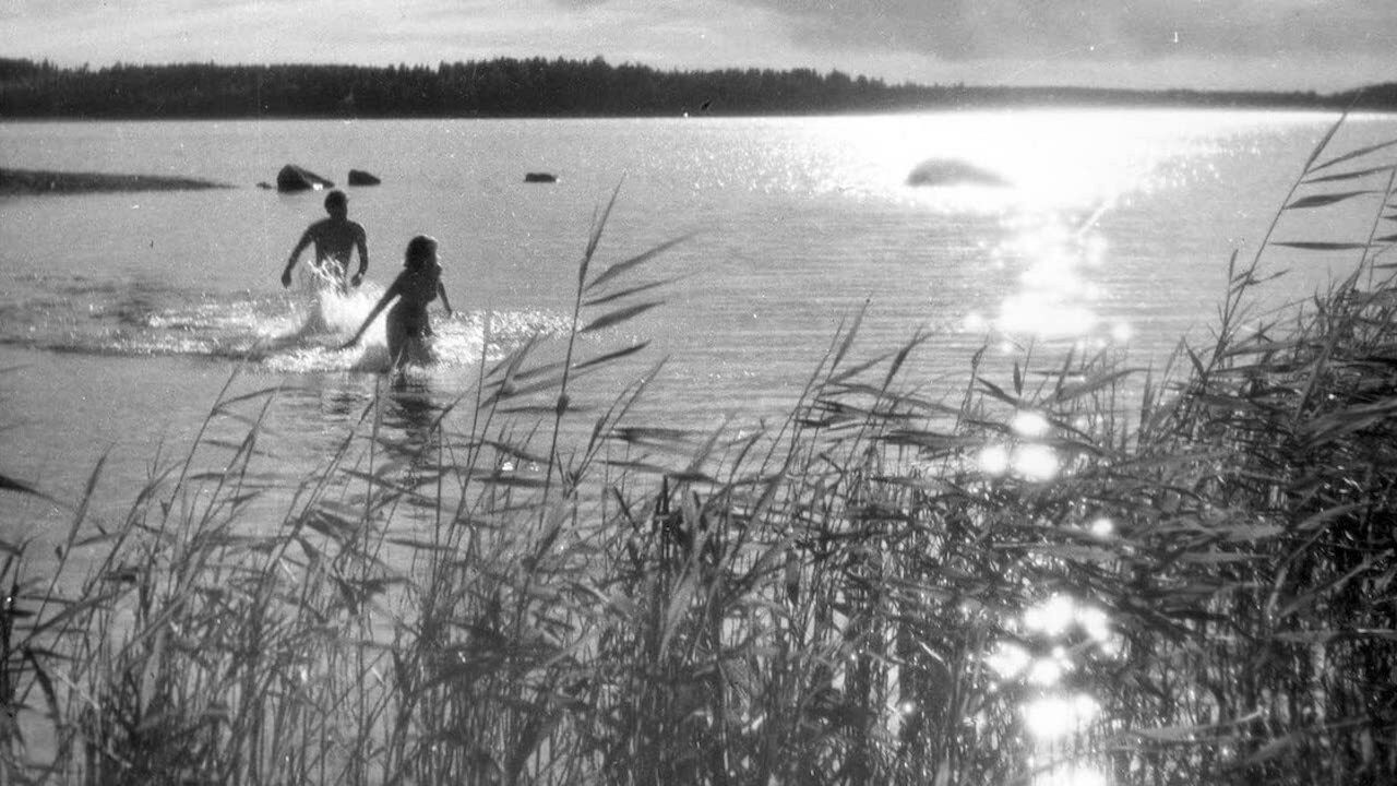 One Summer of Happiness backdrop