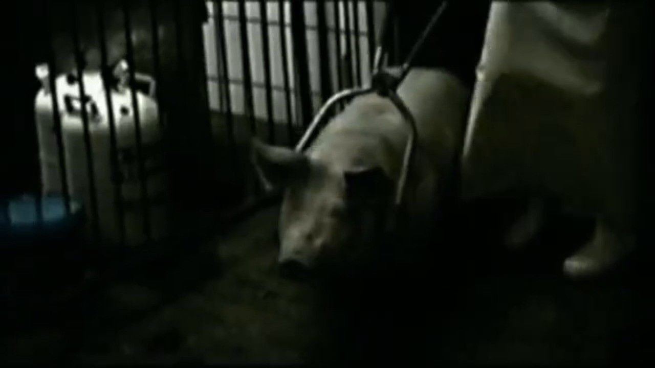 Opus Hominis backdrop