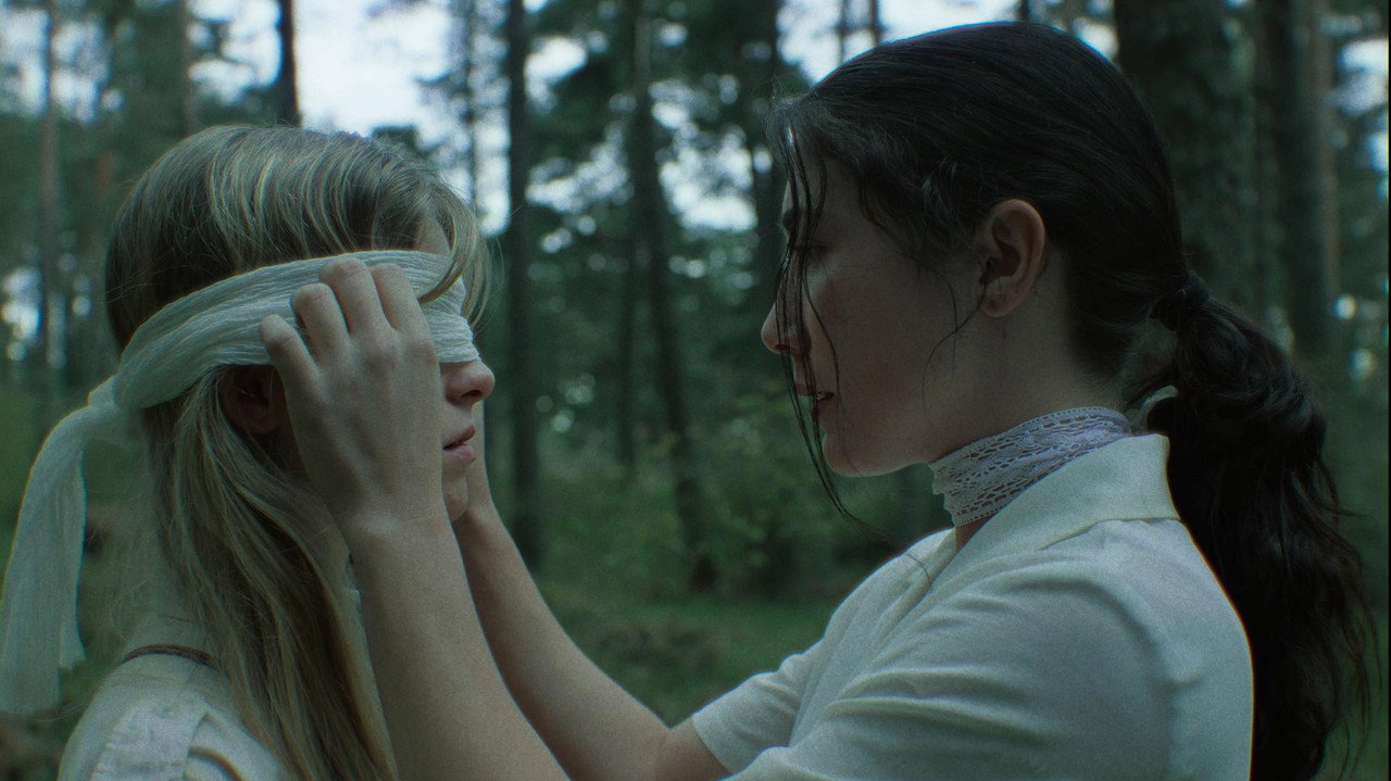 Esto no es una Metáfora backdrop