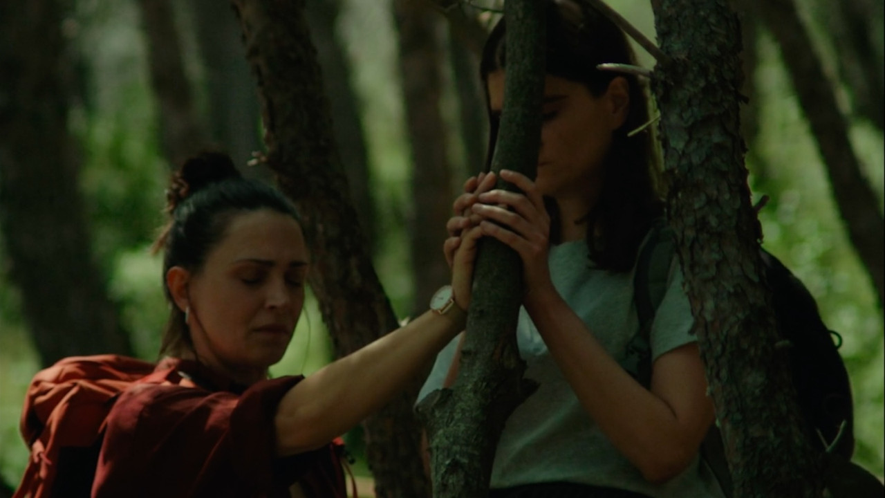 Don’t Try This in the Woods backdrop