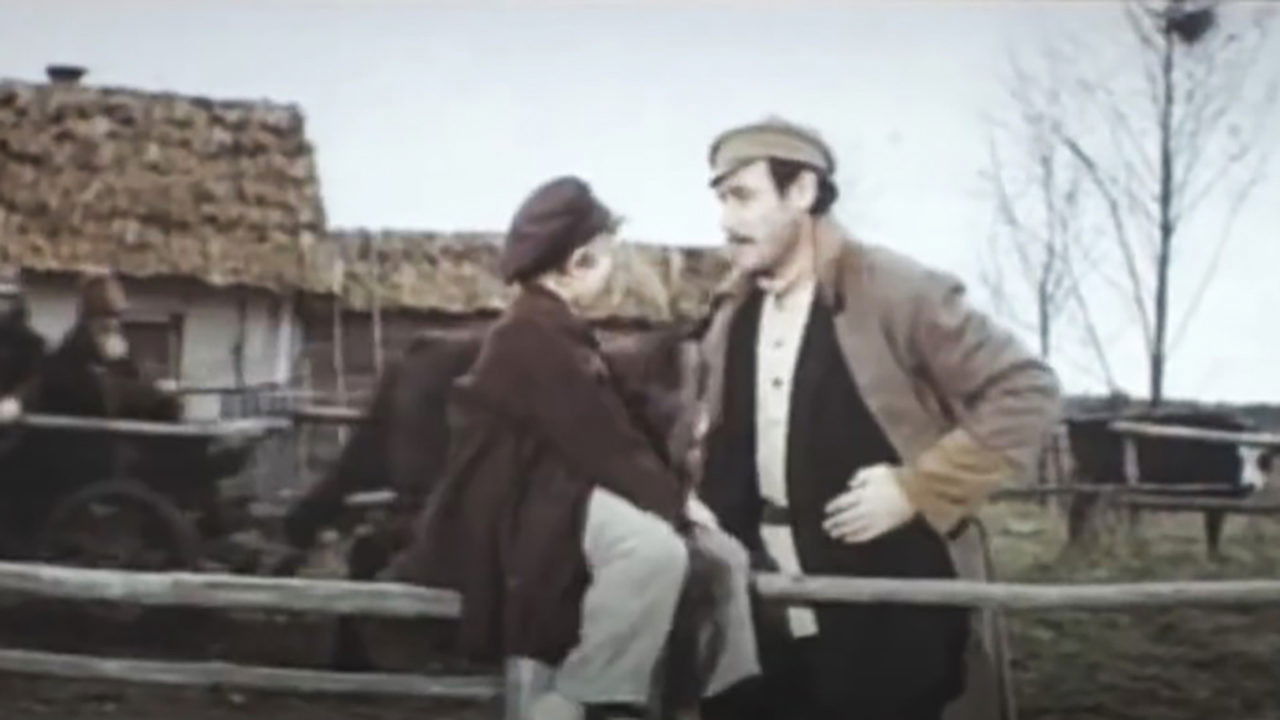 The Geese-Swans Fly backdrop