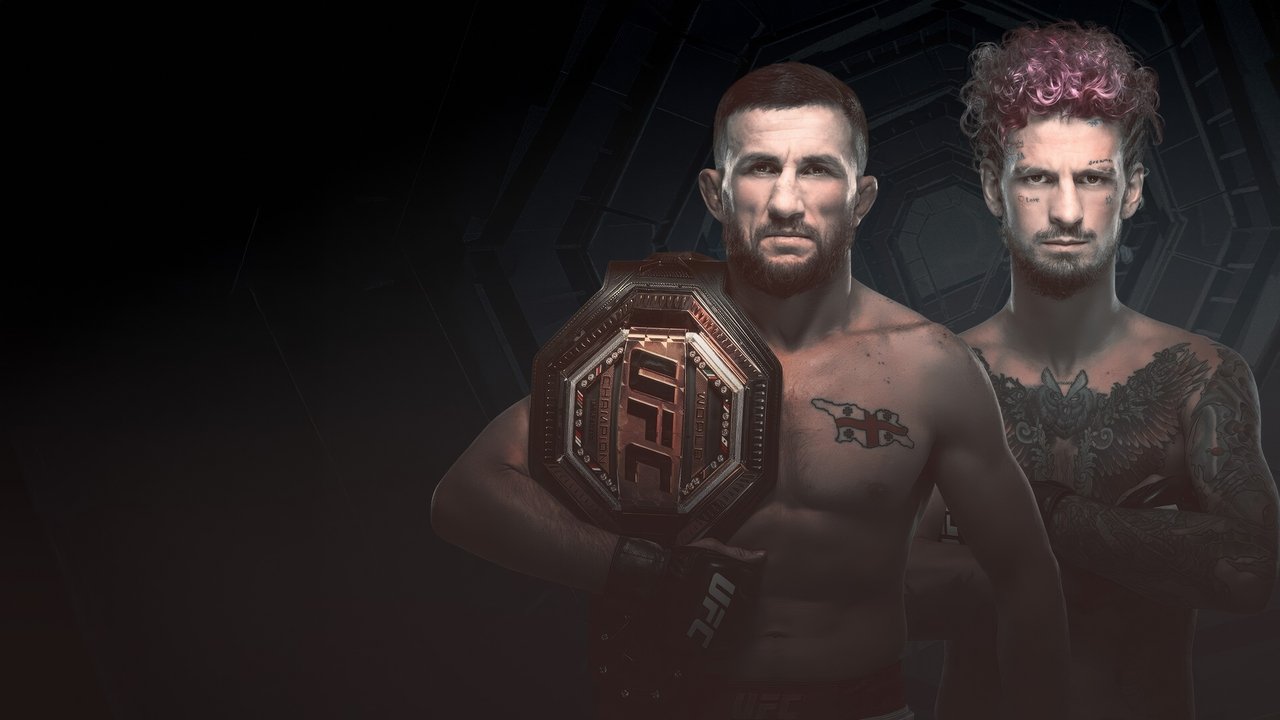 UFC 316: Dvalishvili vs. O'Malley 2 backdrop