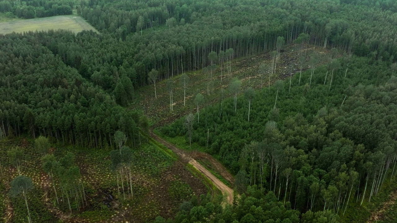 Vertical Money backdrop