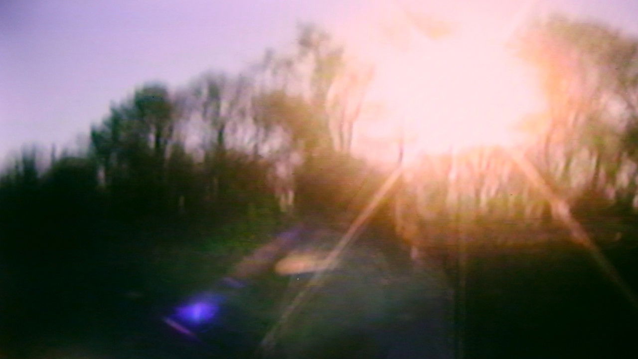 Of Pentacles backdrop