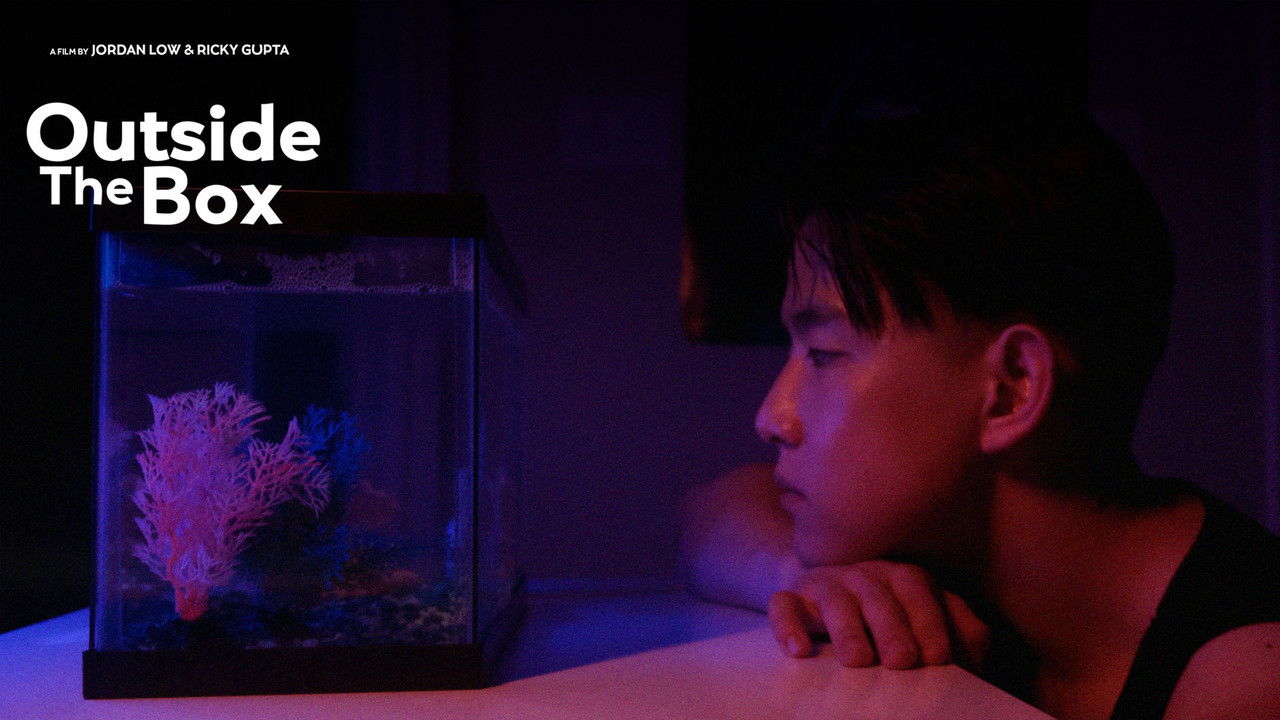 Outside The Box - Short backdrop