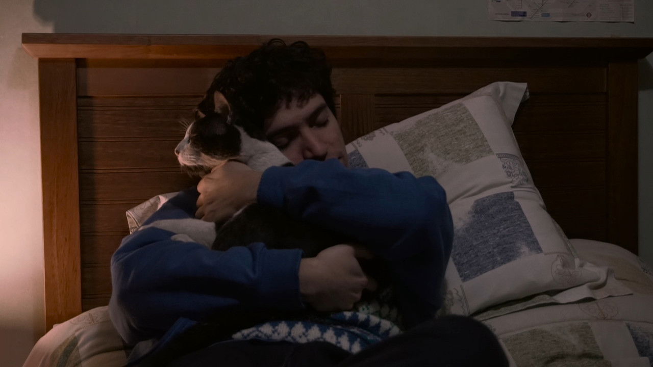 The Palm Trees (Documentary Niños del Cerro) backdrop