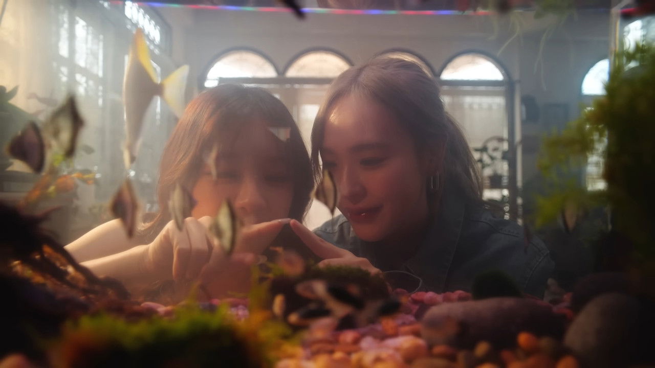 Love's Echoes backdrop