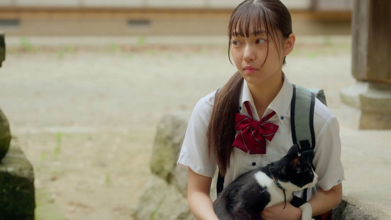 The Cat, Me and Another Cat backdrop