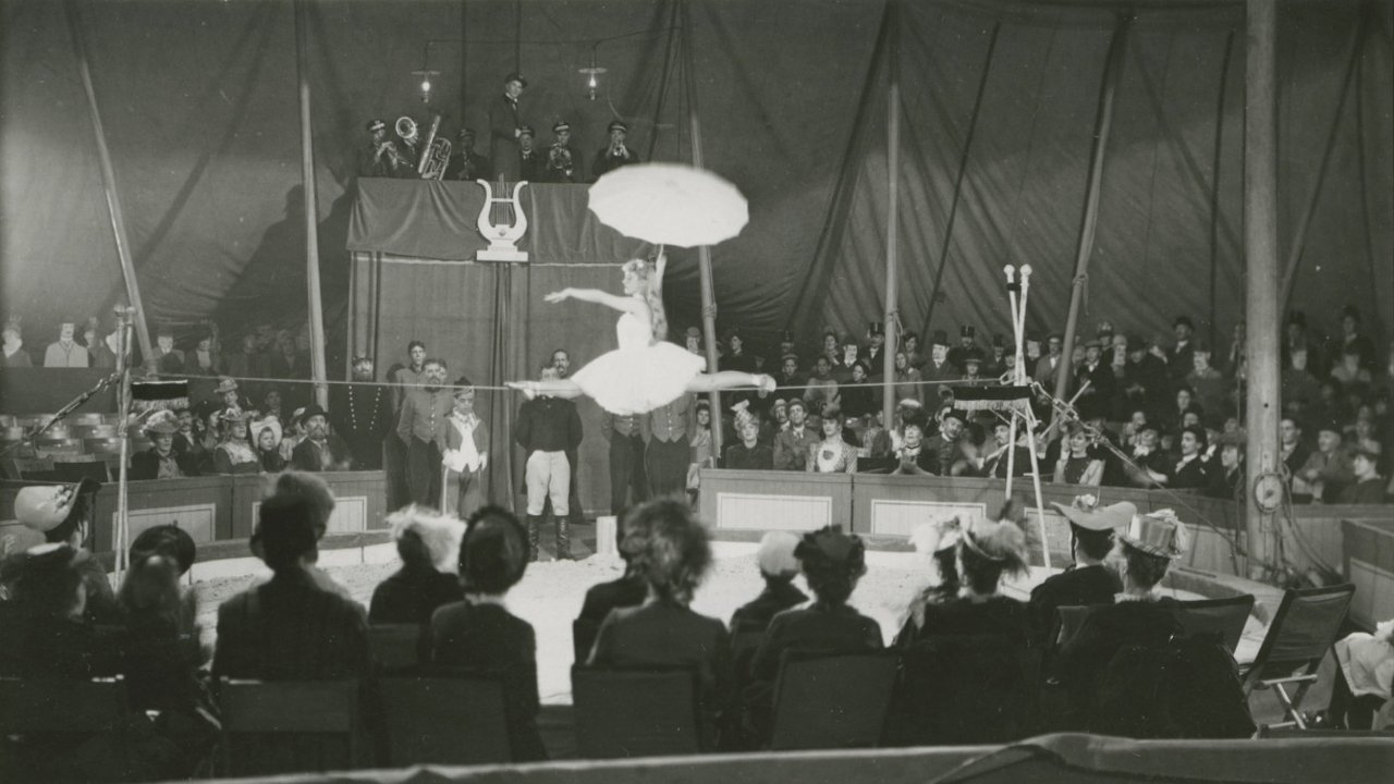 Elvira Madigan backdrop